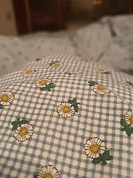 geilerboy2628 online show from April 2026 11:11:02 PM