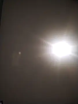 gusaven online show from October 2025 08:15:02 AM