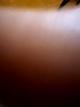 Wet-Pussycat online show from December 2025 05:56:02 PM