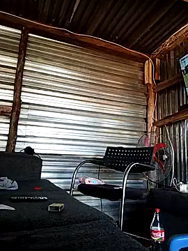 2soyte online show from April 2026 08:54:02 AM