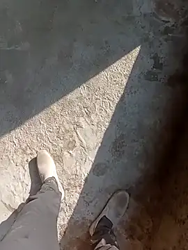 Bengali BULL1 online show from November 2025 08:40:01 AM