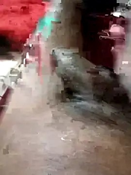 Bengali BULL1 online show from March 2026 05:35:02 PM