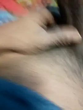 Bengali BULL1 online show from December 2025 03:06:01 PM