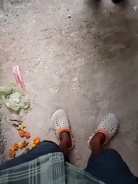 Bengali BULL1 online show from November 2025 11:53:01 AM