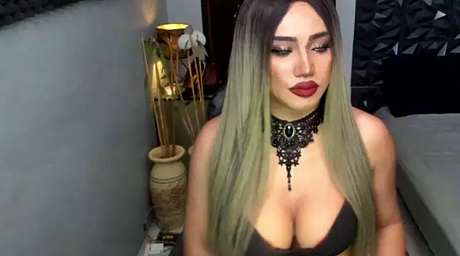 Snapshot of fancySHAINExxx chatting on February 2025 11:00:01 PM fancySHAINExxx online show from February 2025 11:00:01 PM