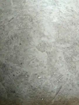 Babyucum4me online show from February 2026 06:59:01 AM