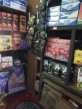 Kalani Engel online show from April 2026 05:30:02 AM