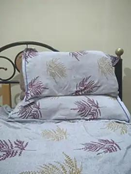 Black power143 online show from November 2025 07:02:02 PM