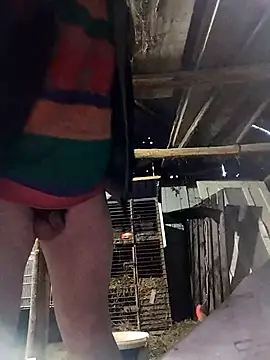 sarpe4 online show from March 2026 04:30:02 PM