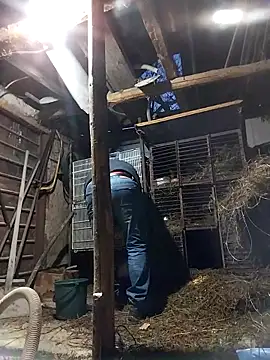 sarpe4 online show from February 2026 04:15:02 PM