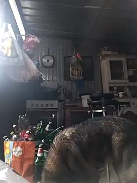 sarpe4 online show from February 2026 03:00:01 PM