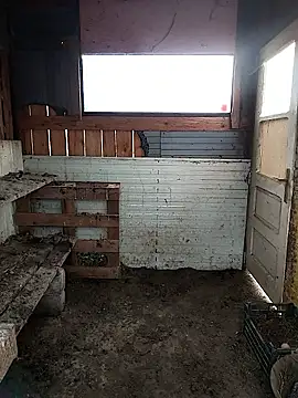 sarpe4 online show from February 2026 06:57:01 AM