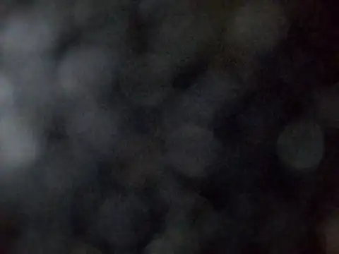 sarpe4 online show from March 2026 01:56:01 PM