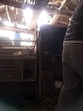 sarpe4 online show from January 2026 08:20:02 AM