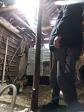 sarpe4 online show from February 2026 03:41:02 PM