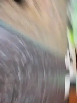 sarpe4 online show from February 2026 04:30:01 PM