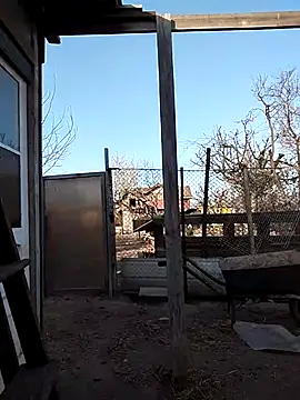 sarpe4 online show from April 2026 03:38:01 PM