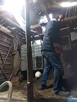 sarpe4 online show from February 2026 05:20:01 AM