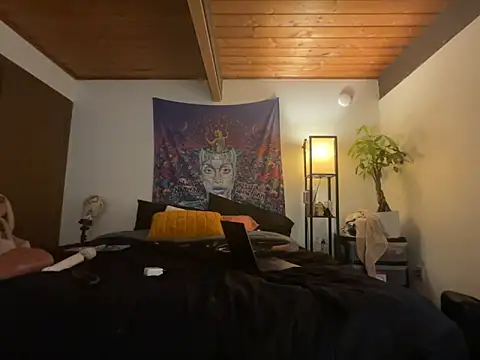 odbodu online show from February 2026 03:26:02 AM