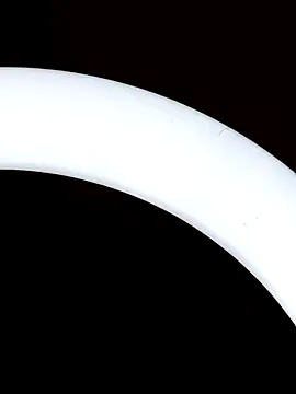 Bull8 online show from March 2025 01:34:01 PM