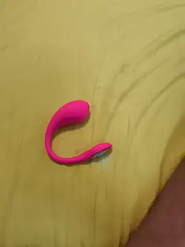 Bull8 online show from November 2025 11:38:02 PM