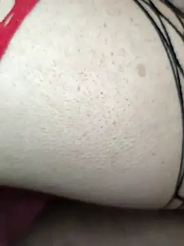 Bull8 online show from February 2025 02:31:02 PM