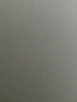 Bull8 online show from February 2025 09:33:02 AM