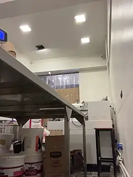 Gatitacarlita online show from December 2024 06:26:02 PM