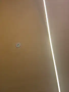 Gatitacarlita online show from November 2025 10:26:01 AM