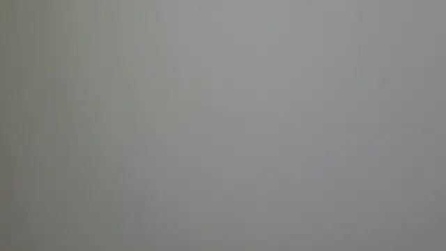 Snapshot of WetFlower69 chatting on February 2025 03:27:02 PM WetFlower69 online show from February 2025 03:27:02 PM