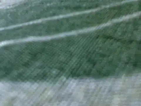 Damita999 online show from March 2025 04:14:01 AM