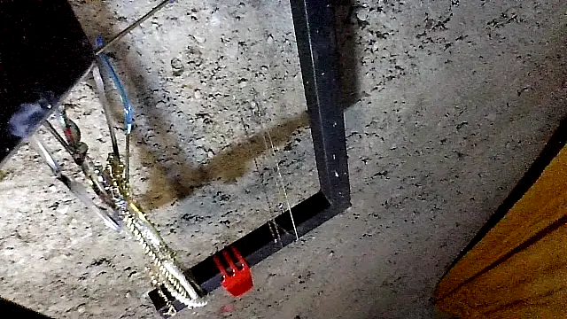 Damita999 online show from February 2025 06:31:01 AM