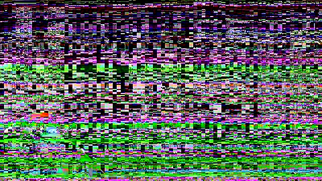 leadileo online show from October 2025 03:13:02 PM