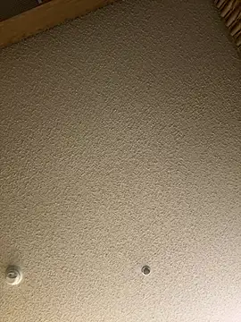 blue5455 online show from February 2025 06:21:02 AM