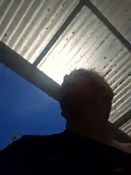 PinkTheHawk online show from December 2025 10:37:01 PM