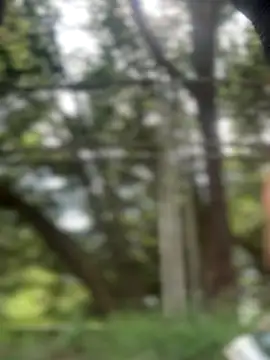 emma tour online show from November 2025 03:12:01 PM