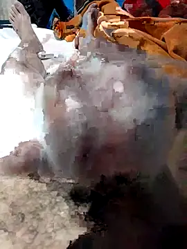 Snapshot of geroom chatting on November 2025 08:08:02 AM geroom online show from November 2025 08:08:02 AM