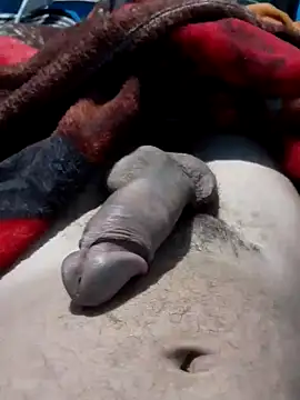 Snapshot of geroom chatting on September 2025 02:34:02 AM geroom online show from September 2025 02:34:02 AM