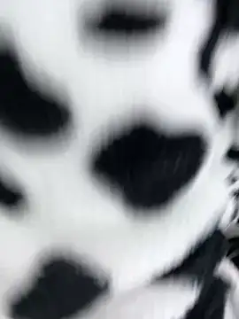 sandylau online show from February 2026 01:23:02 AM