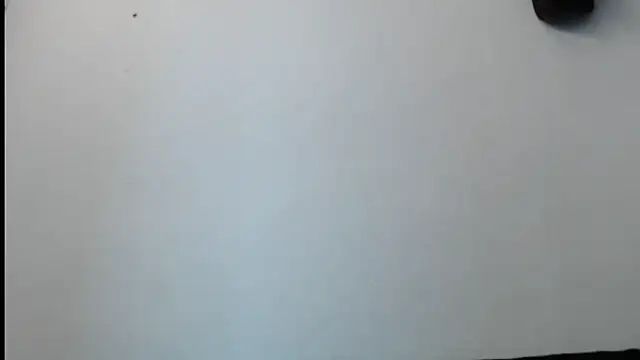 SebastianReiss online show from February 2025 01:29:02 AM