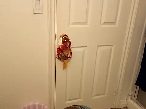 Tramontas online show from October 2025 08:41:01 AM