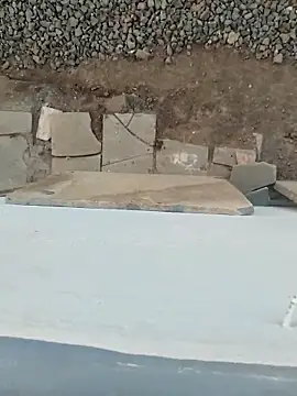 Big boss ind online show from March 2026 01:04:01 PM