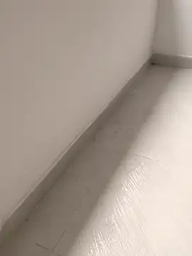 Business dickkk online show from February 2025 01:05:02 PM