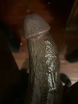 southerncomfort23 online show from February 2025 03:37:02 AM