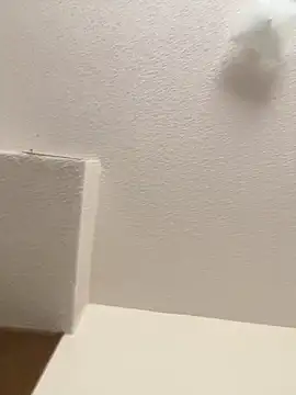 cumgitsumdic online show from February 2025 07:10:02 PM