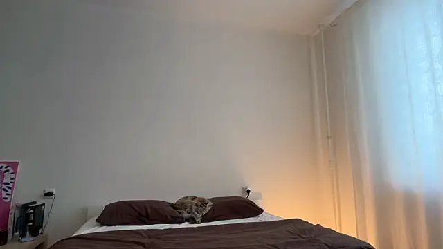 Milky   Way online show from February 2026 01:44:02 PM