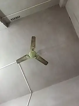 Dogol1990 online show from December 2025 06:19:02 AM