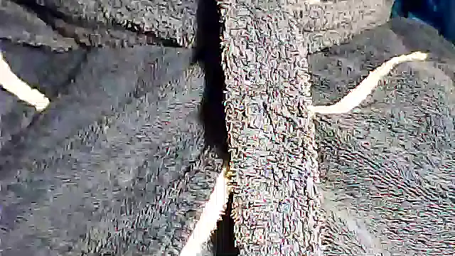 kalinixta online show from October 2025 07:28:01 PM