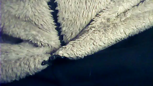 kalinixta online show from January 2026 06:45:01 PM