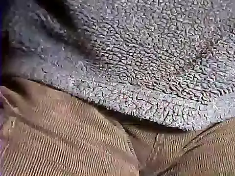 kalinixta online show from October 2025 06:32:02 PM